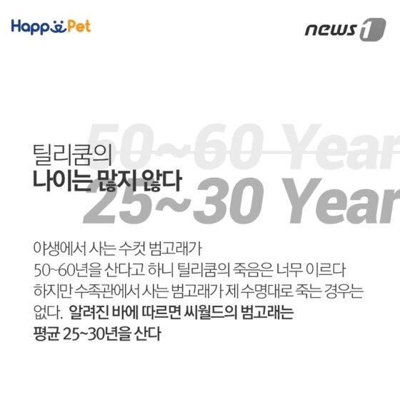 본문 이미지 - ⓒ News1