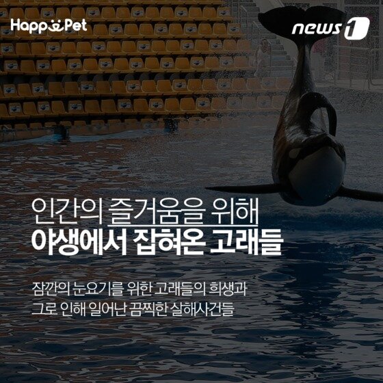 본문 이미지 - ⓒ News1