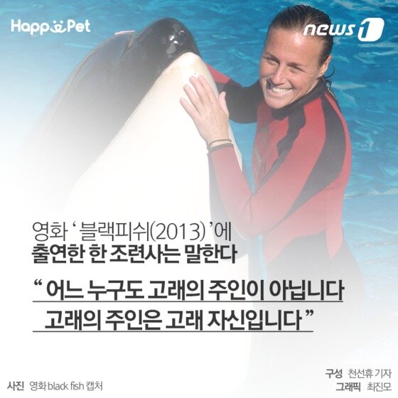 본문 이미지 - ⓒ News1