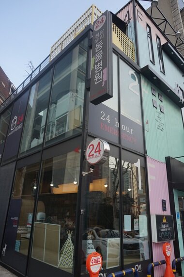 본문 이미지 - ⓒ News1