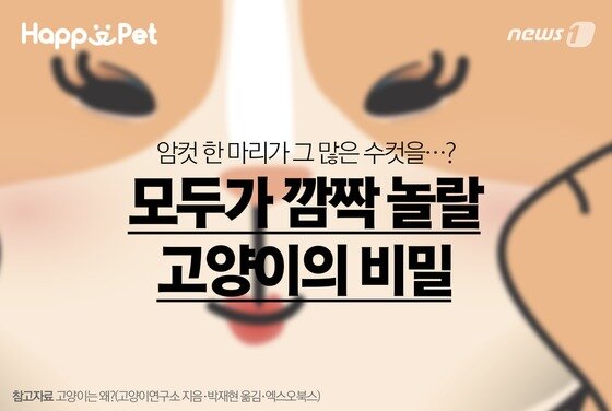 본문 이미지 - ⓒ News1