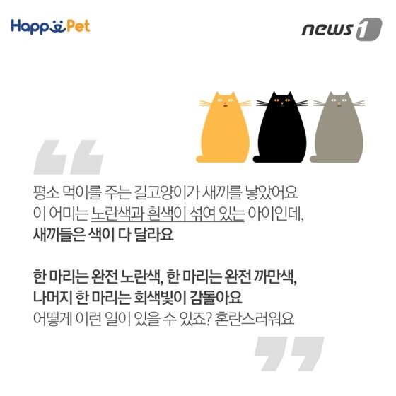 본문 이미지 - ⓒ News1