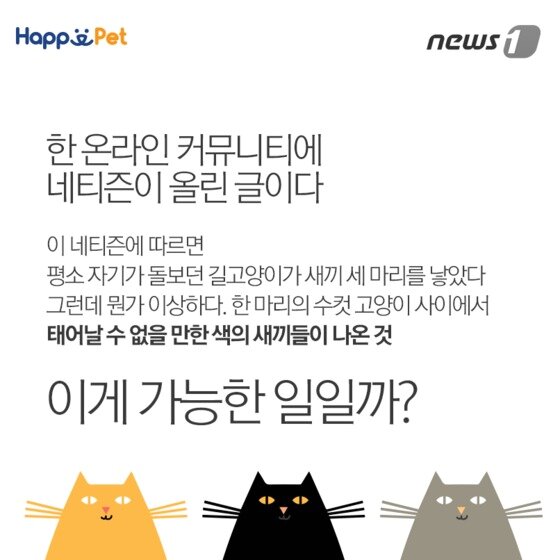 본문 이미지 - ⓒ News1