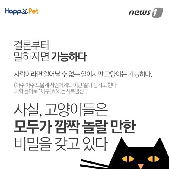 본문 이미지 - ⓒ News1