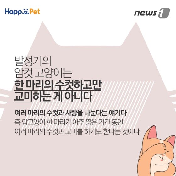 본문 이미지 - ⓒ News1