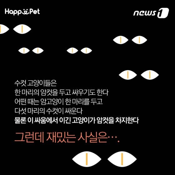 본문 이미지 - ⓒ News1