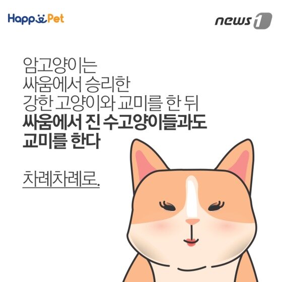 본문 이미지 - ⓒ News1