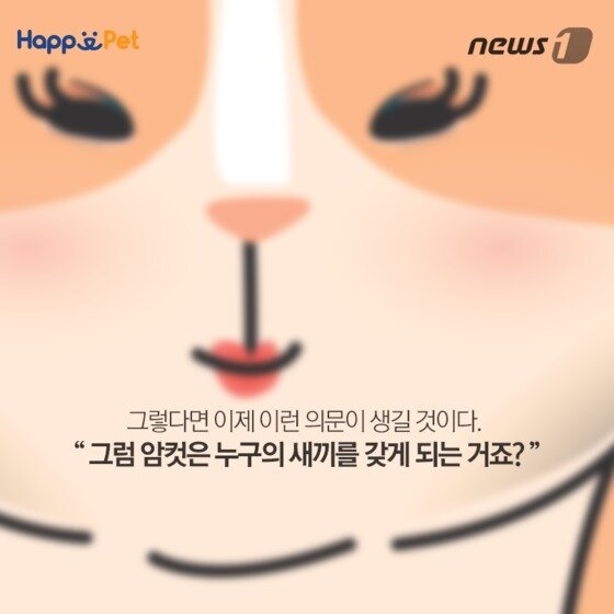 본문 이미지 - ⓒ News1