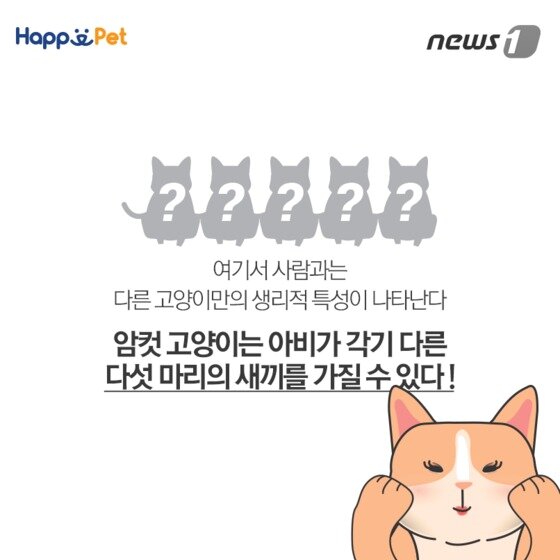 본문 이미지 - ⓒ News1
