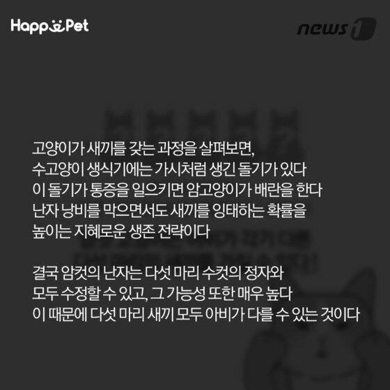 본문 이미지 - ⓒ News1