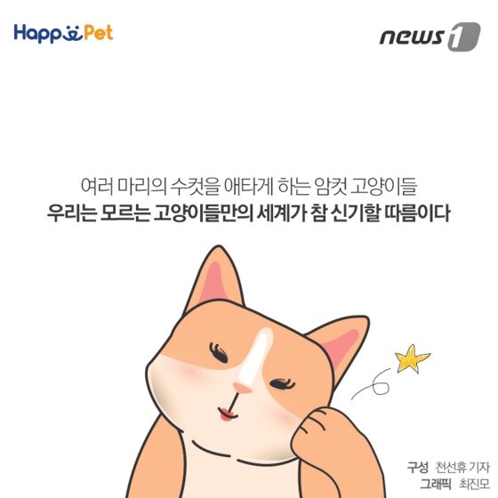 본문 이미지 - ⓒ News1