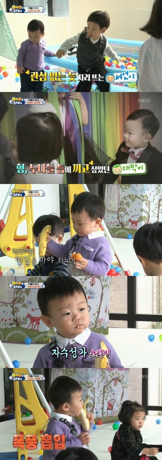 본문 이미지 - 대박이가 혼자노는 모습을 보였다. ⓒ News1star / KBS2 '슈퍼맨이 돌아왔다' 캡처