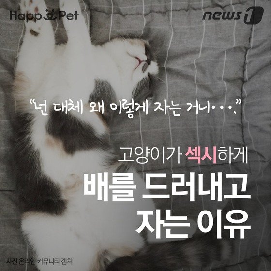 본문 이미지 - ⓒ News1