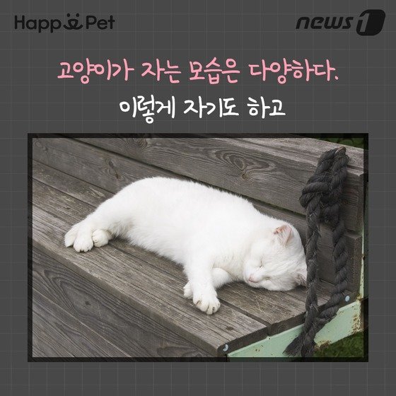 본문 이미지 - ⓒ News1