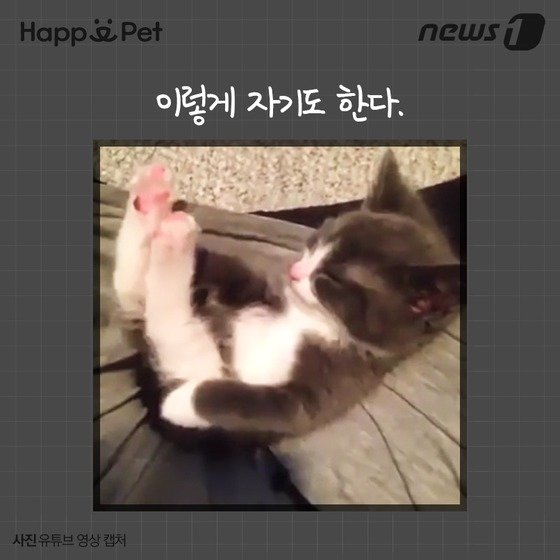 본문 이미지 - ⓒ News1