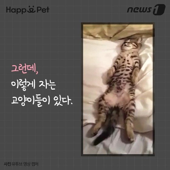 본문 이미지 - ⓒ News1