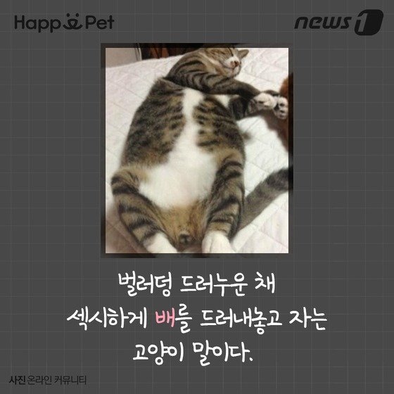 본문 이미지 - ⓒ News1