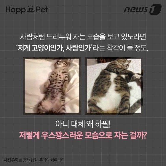 본문 이미지 - ⓒ News1