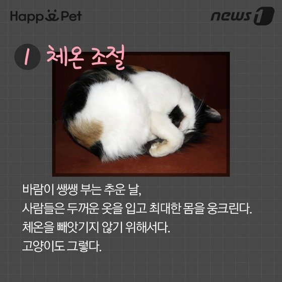 본문 이미지 - ⓒ News1