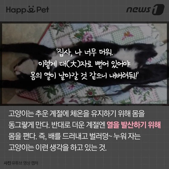 본문 이미지 - ⓒ News1