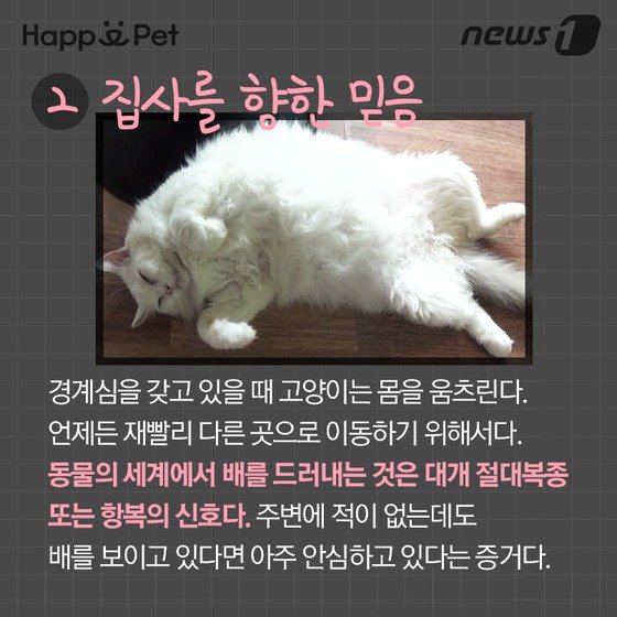 본문 이미지 - ⓒ News1