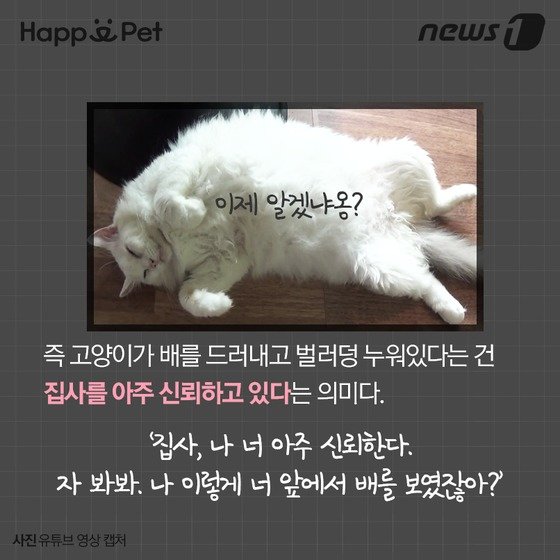 본문 이미지 - ⓒ News1