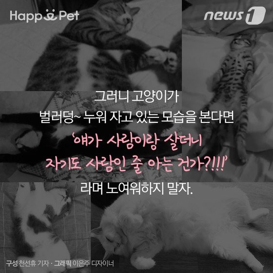 본문 이미지 - ⓒ News1