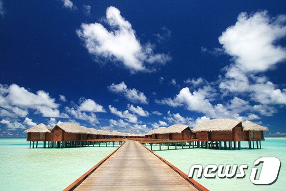 본문 이미지 - 벨리가나우 섬에 지어진 벨리 리조트는 수상 방갈로 형태로 설계돼 신혼부부들이 선호한다. (허니문리조트 제공)ⓒNews1travel