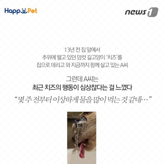 본문 이미지 - ⓒ News1