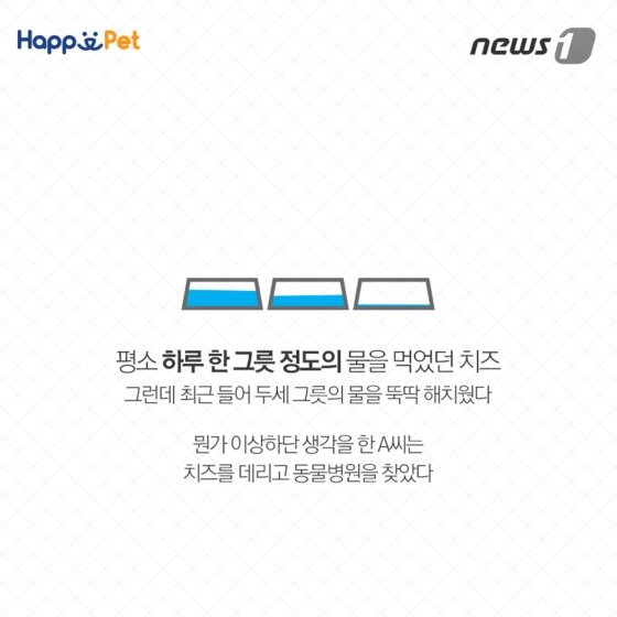 본문 이미지 - ⓒ News1