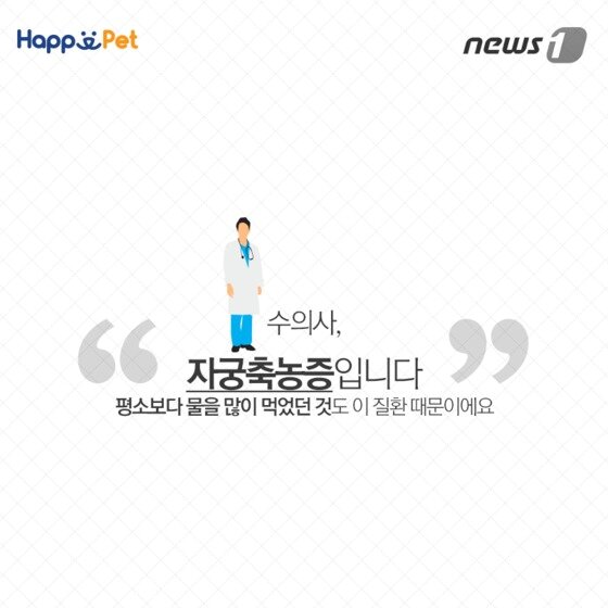 본문 이미지 - ⓒ News1