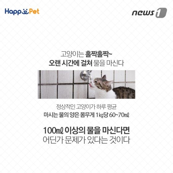 본문 이미지 - ⓒ News1