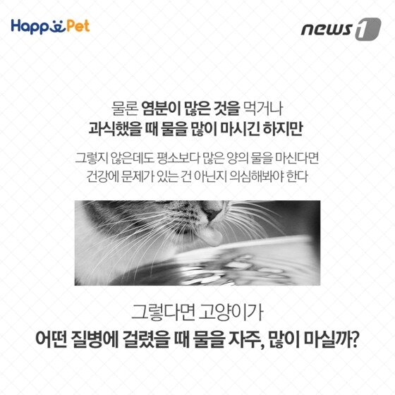 본문 이미지 - ⓒ News1