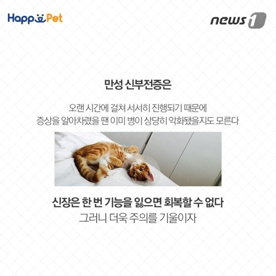 본문 이미지 - ⓒ News1