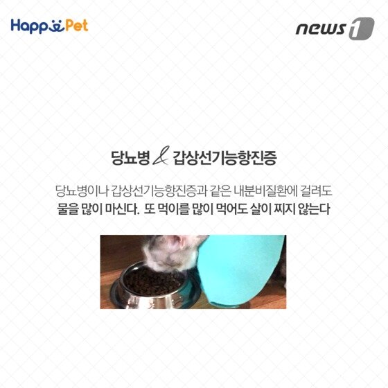 본문 이미지 - ⓒ News1