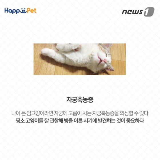 본문 이미지 - ⓒ News1