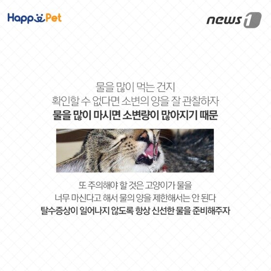 본문 이미지 - ⓒ News1