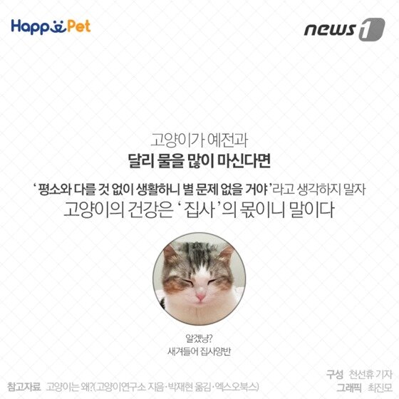 본문 이미지 - ⓒ News1