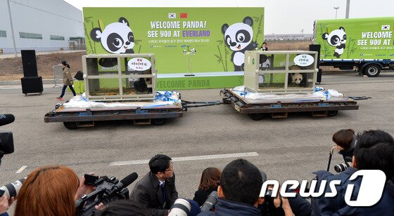 본문 이미지 - 2016년 3월3일 오후 대한항공 화물기편으로 중국 청두를 출발한 판다 암,수 한쌍이 인천국제공항 화물터미널에 도착했다. 아크릴로 된 컨테이너 안에 판다 아이바오와 러바오(수컷)가 보인다. 2016.3.3/뉴스1 ⓒ News1 황기선 기자