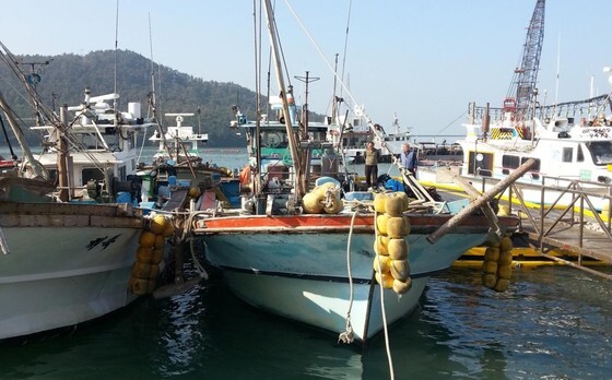 어선 감척 지원금 현실화…'연근해어업 구조개선 지원 법률 개정안' 국회 본회의 통과