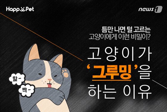 본문 이미지 - ⓒ News1