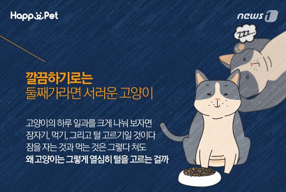 본문 이미지 - ⓒ News1