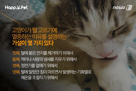 본문 이미지 - ⓒ News1