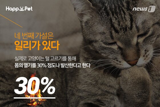 본문 이미지 - ⓒ News1