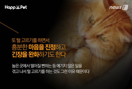 본문 이미지 - ⓒ News1