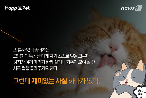 본문 이미지 - ⓒ News1