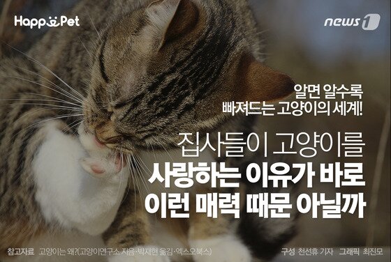 본문 이미지 - ⓒ News1