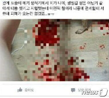 본문 이미지 - 한 네티즌이 '동물수간협회' 페이스북 페이지에 남긴 메시지. (온라인 커뮤니티 캡처) ⓒ News1