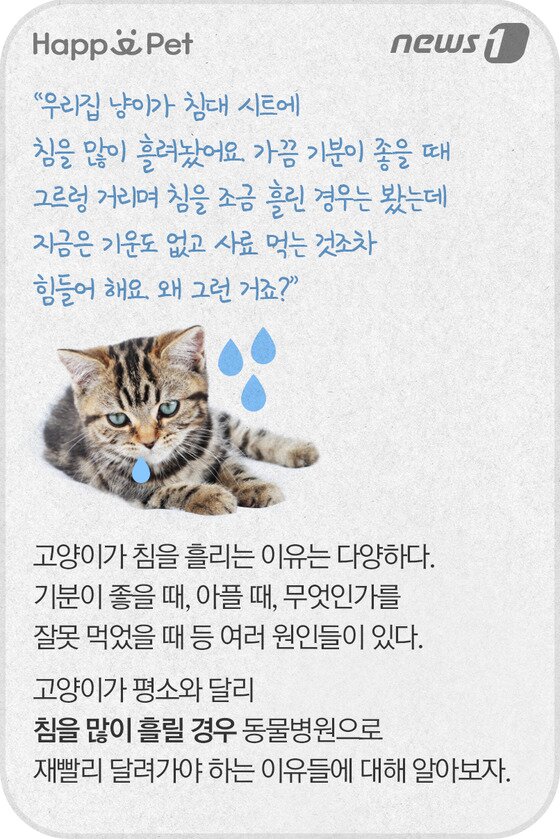 본문 이미지 - ⓒ News1