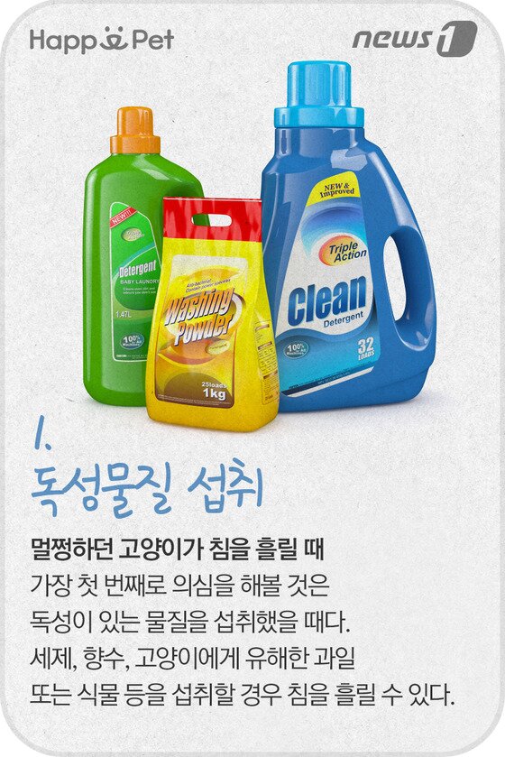 본문 이미지 - ⓒ News1